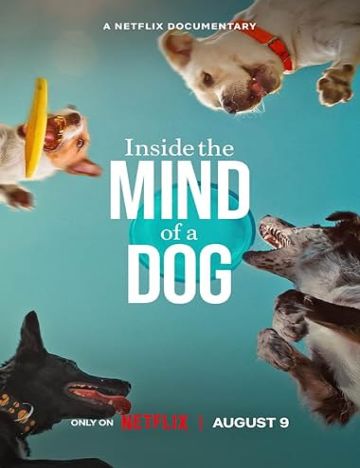 Vegamovies – Inside The Mind Of A Dog (2024) Poster