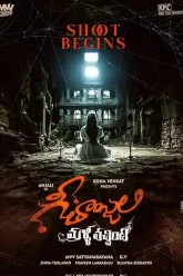 Geethanjali Malli Vachindi (2024) movie Poster