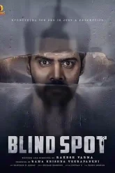 Blind Spot (2025)